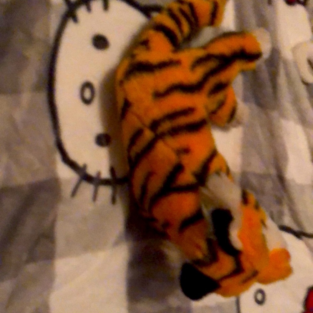 1992 Raj 🐅 from Aladdin - Picture 3 of 6